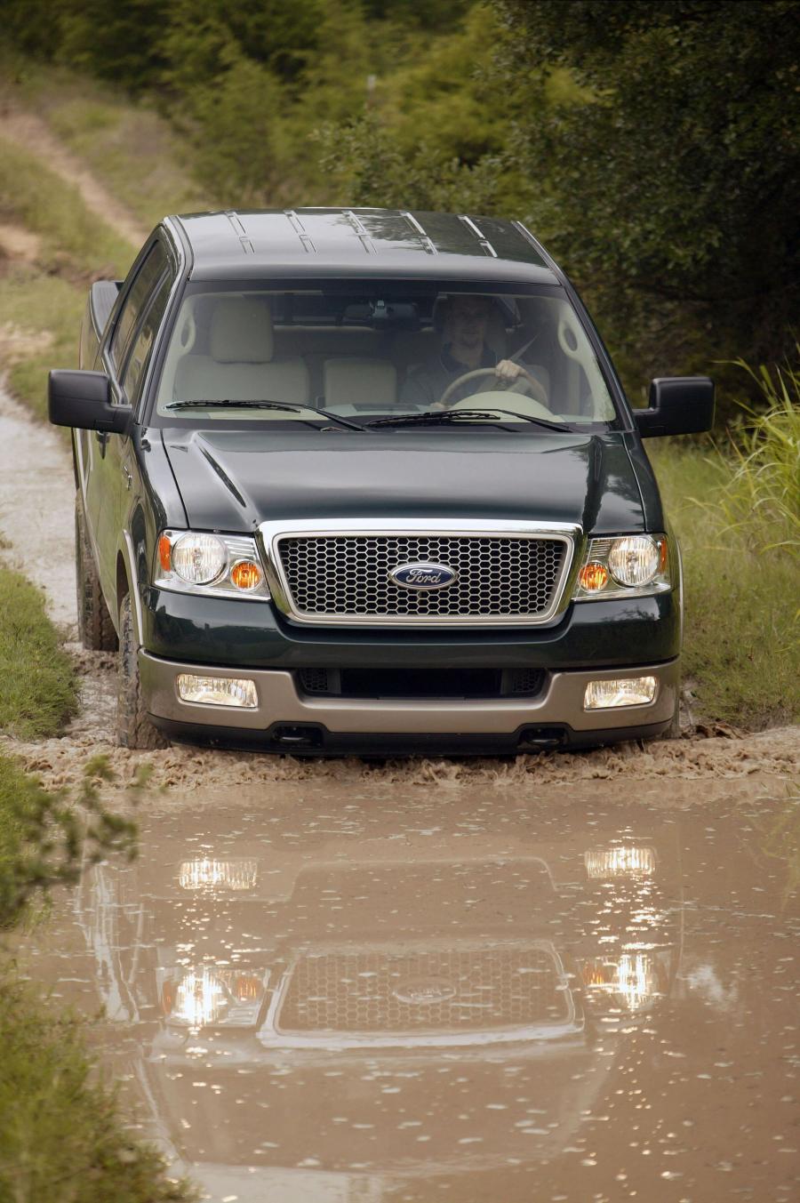  Ford F-150 SuperCrew Cab 2004 года  (фото 8 из 83)